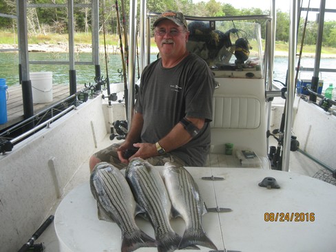 Nice Striped Bass